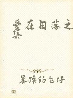 爱在日落之前全集封面