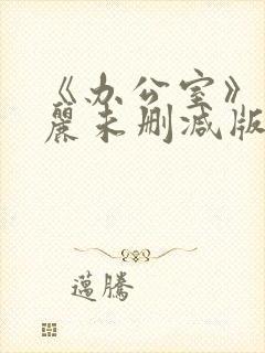 《办公室》赤坂丽未删减版电影