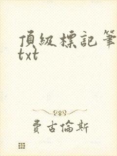 顶级标记笔趣阁txt