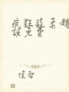 疯狂苏柔赵刚小说免费