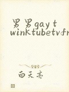 男男gay twinktubetvfree封面
