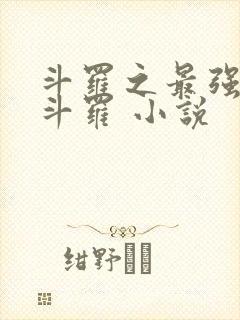 斗罗之最强本体斗罗 小说