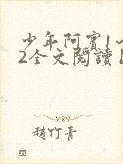 少年阿宾1～72全文阅读目录