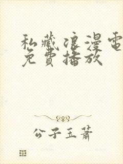 私藏浪漫电视剧免费播放