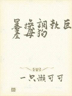 暴操调教巨骚反差母狗封面