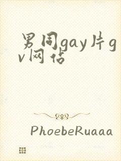 男同gay片gv网站