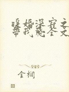 暖婚深宠之老公带我飞全文免费阅读