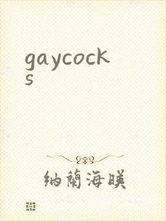gaycocks