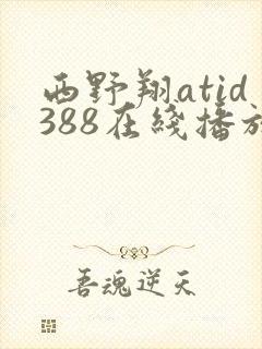 西野翔atid388在线播放