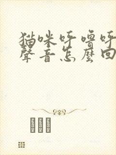 猫咪呼噜呼噜的声音怎么回事