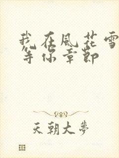 我在风花雪月里等你章节