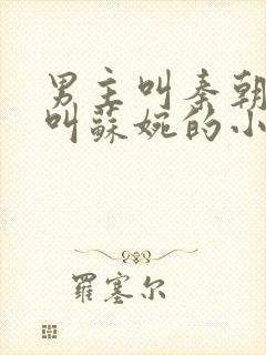 男主叫秦朝女主叫苏婉的小说名字