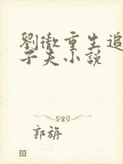 刘彻重生追妻卫子夫小说