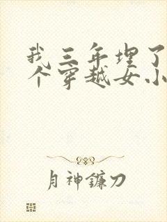 我三年埋了99个穿越女小说