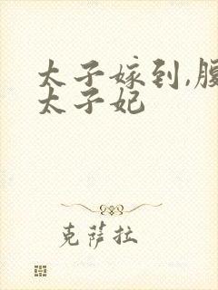 太子嫁到,腹黑太子妃