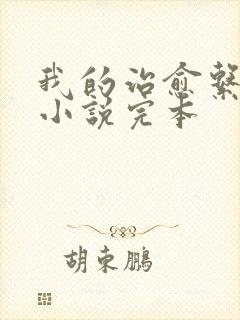 我的治愈系游戏小说完本