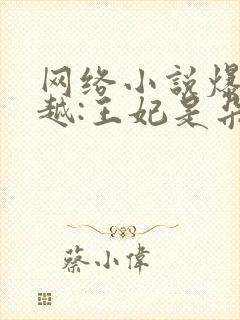 网络小说爆笑穿越:王妃是朵白莲花