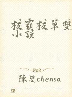 校霸校草双男主小说