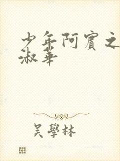 少年阿宾之钰慧淑华