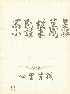 国民校草是女生小说未删版