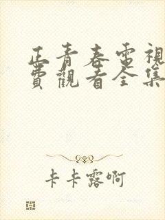 正青春电视剧免费观看全集6