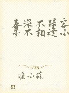 春深不归客 清梦不相逢小说