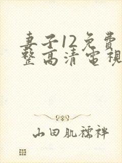 妻子12免费完整高清电视剧在线观看