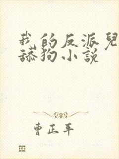 我的反派儿子是舔狗小说