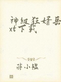 神级狂婿岳风txt下载封面