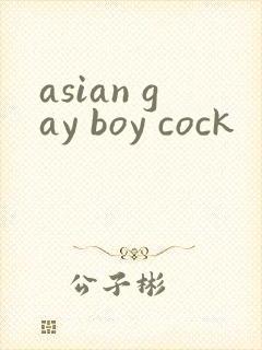 asian gay boy cock