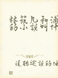 林筱凡和浦应辛的小说叫什么名字