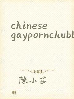 chinesegaypornchubbybearsex