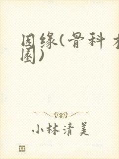 因缘(骨科 校园)