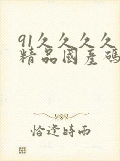 91久久久久久精品国产码