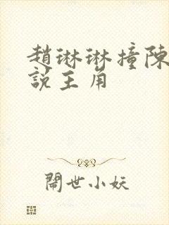 赵琳琳撞陈凡小说主角