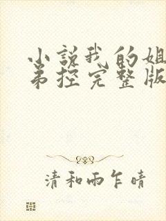 小说我的姐姐很弟控完整版