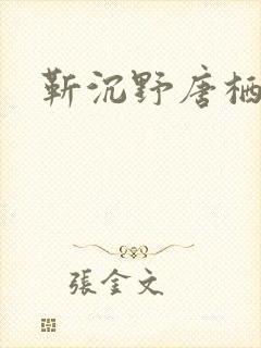 靳沉野唐栖雾