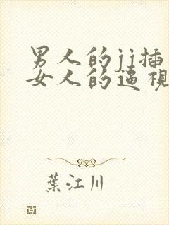 男人的jj插入女人的逼视频