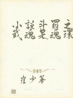 小说斗罗之我的武魂是魂环