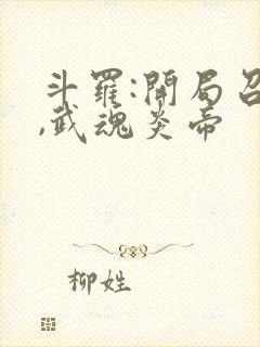 斗罗:开局召唤,武魂炎帝封面