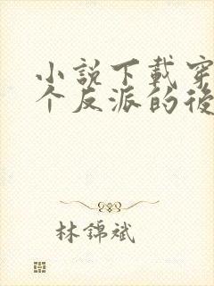 小说下载穿成五个反派的后娘