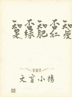 知否知否知否应是绿肥红瘦原著小说