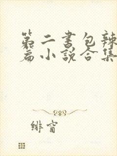 第二书包辣网短篇小说合集