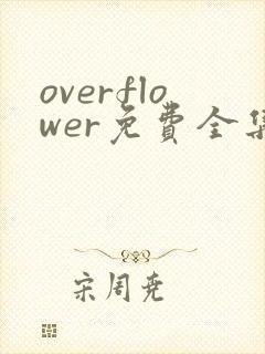 overflower免费全集