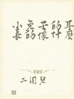 小兔子的耳朵长长的像什么