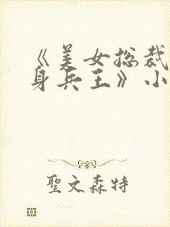 《美女总裁的贴身兵王》小说