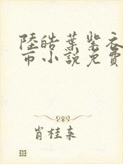 陆皓叶紫衣的都市小说免费阅读封面