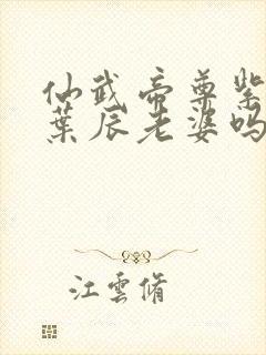 仙武帝尊紫萱是叶辰老婆吗