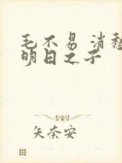 毛不易 消愁 明日之子封面