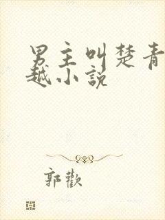 男主叫楚青的穿越小说
